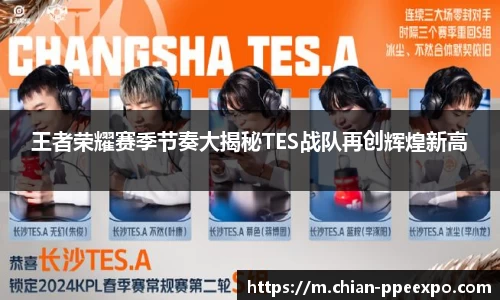 db旗舰官网