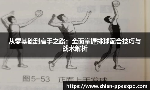 db真人旗舰