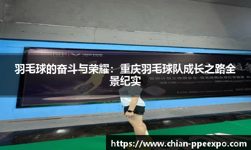 db旗舰厅官网