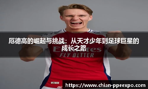 db旗舰官网