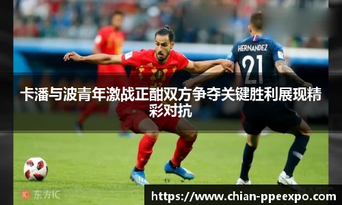 db旗舰官网