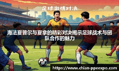 db真人旗舰